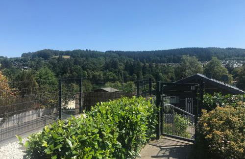 Ferienhaus an der Lister - Foto 6