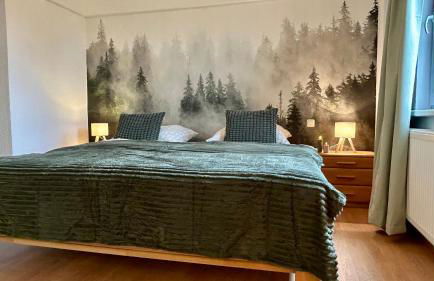 Ferienhof Morich - Urlaub auf dem Bauernhof im Harz - Foto 22