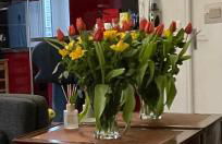 Charmant 2 pièces, Paris Porte d'Italie Métro Lignes 7 et 14, Tramway Ligne T3a - Foto 17