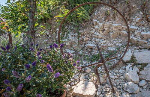 Relais di Campagna I Tamasotti - Foto 33