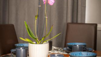 Swindon Home - Foto 5