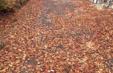 La casa de Juan el Cantero - Foto 26