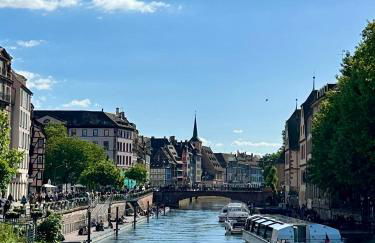 Appartement cosy tout proche de l'hyper-centre - Foto 40