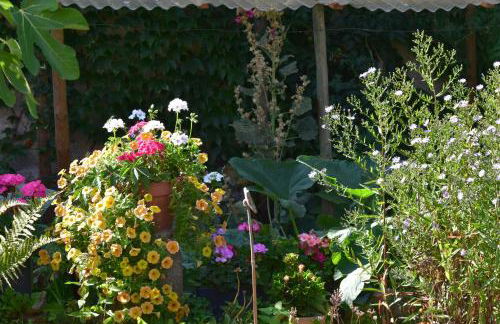 Gîte de Cep et de Grès - Foto 20