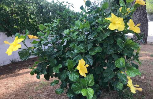 Villa Lucia - Foto 25