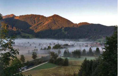 Gemütliche Alpenwohnung in Altenau - Foto 8