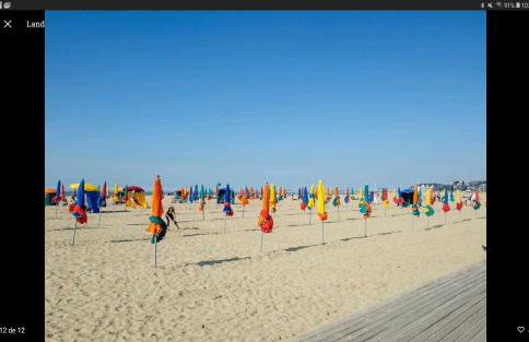 Duplex très proche de Deauville Tennis et piscine - Photo 13