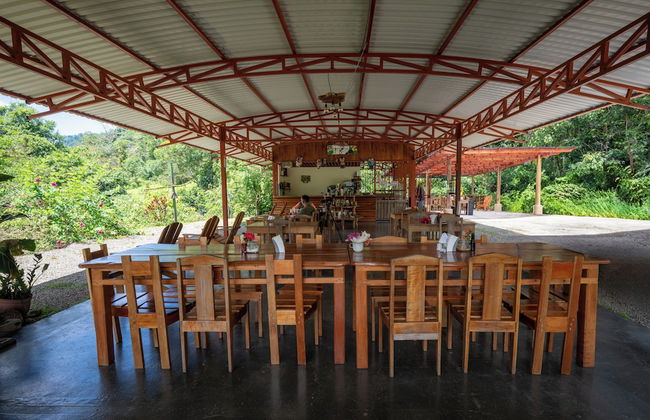 Esquipulas Rainforest - Foto 30