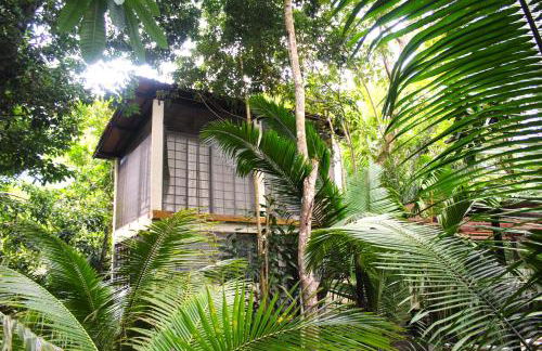 REFUGIO DO SAGRADO MORERE Tropical Lodge - A Casa do Vigía - Foto 20