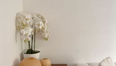 Valtellina 10_Trilo - Foto 4, Other