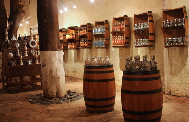 Tequila Tour + Distillery Visit with Tasting - Photo 8