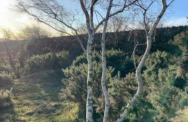 The Snug in Cheltenham, Leckhampton - A Cosy & Unique Space - Photo 25