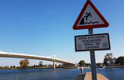 Apartamento El Fangar - Foto 39