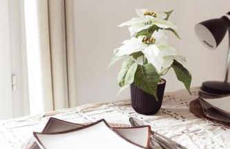 Studio cosy 28 mn aéroport CDG 34 mn chatelet - Foto 17