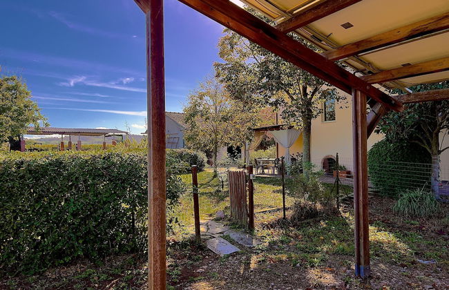 Carpine Agriturismo Bio in Maremma - Foto 57