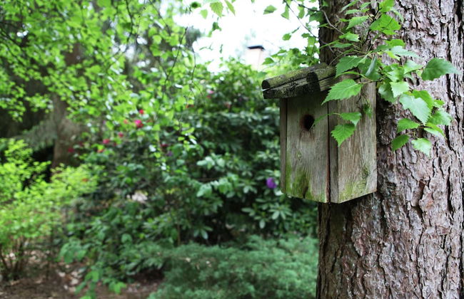 Quaint Villa in Doornspijk With Swimming Pool - Photo 75