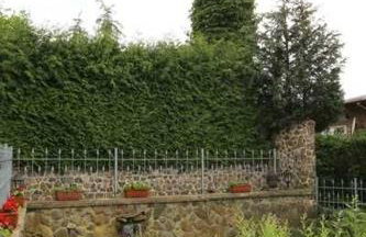 Fewos Storchenhof am Kummerower See - Foto 7