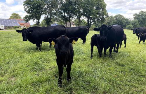 Reihenhauser in Strackholt - Foto 64