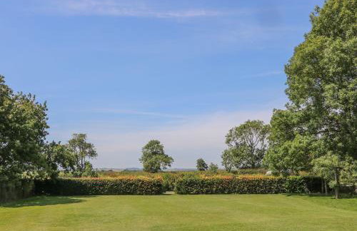 Kingfisher - Foto 19