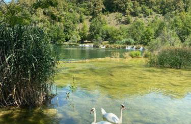 Mrežnica - Zelena oaza I - Foto 26