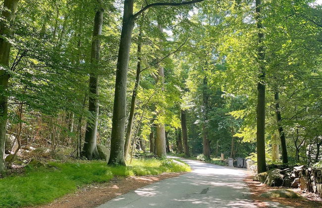 6 Person Holiday Home in Solvesborg-by Traum - Foto 11