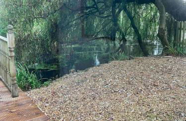 Riverside Studio - Foto 60