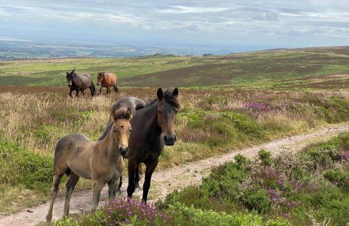 Pardlestone Farm – Self-Catering Cottages - Foto 59