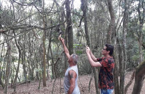 Chácara Chiafarelli - Photo 26