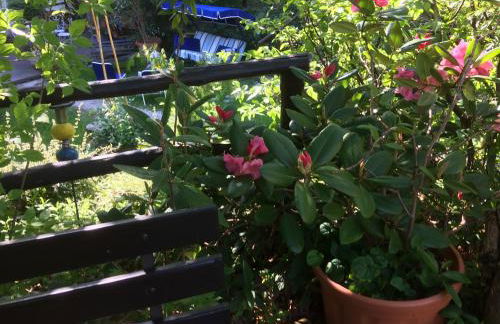 Villa Fedora - Foto 18