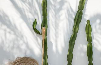 The Olive Boutique Suites and Spa - Foto 44