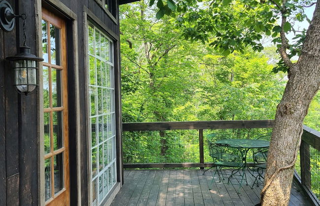 The Treetop Hideaways at Ruby Falls - Photo 75