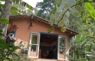 Imersão cascata - Foto 1