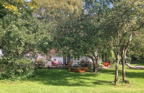 Das alte Zollhaus - Foto 19