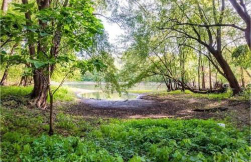 Bluffview on the River with a hot tub sauna pool table and more - Foto 75