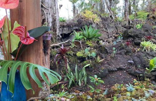 Exotic Garden cottage at amazing volcano fissure - Foto 58