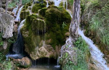 Apartamentos La Granja - Foto 10