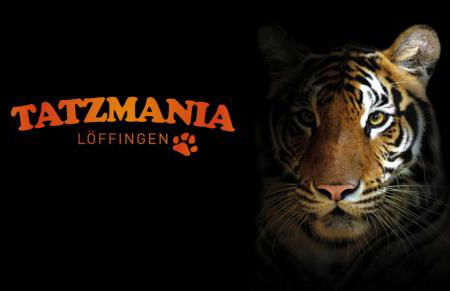 Tiny House Village Löffingen - Foto 37