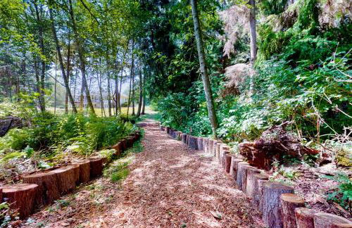 Silver Lake Splendor - Foto 44