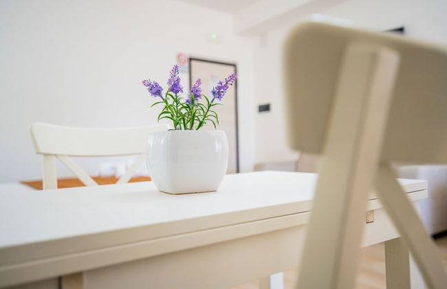 O Sole Mio Pompei - Foto 69