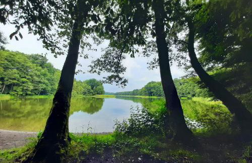 Apartment Aqua Marina - Lake, Nature and Relax! - Foto 40