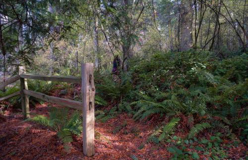 Water Views, Walk to Beach! New Hot Tub! - Foto 57