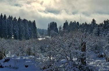 Mein Haus am See - Foto 33