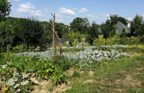 Agroturystyka Iwańcze Pole - Foto 60