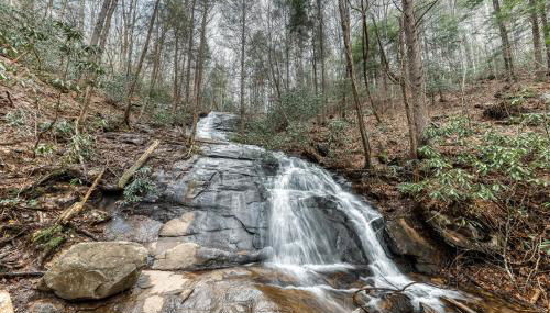 Toccoa River Retreat - Foto 4