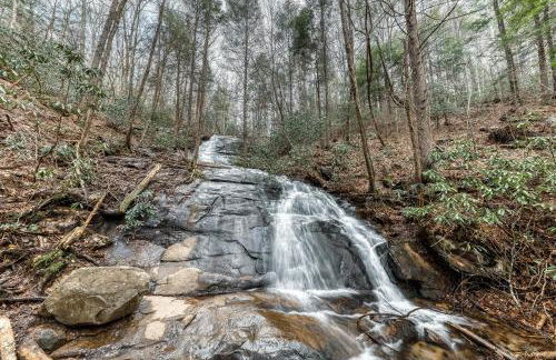 Toccoa River Retreat - Foto 4