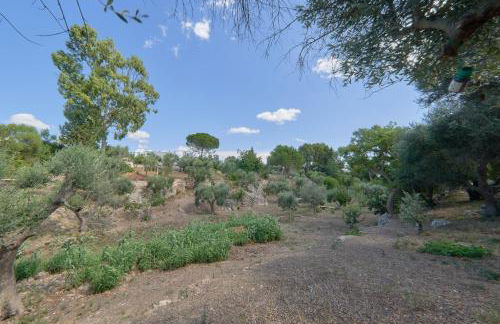 Riserva Ancelle - Foto 37