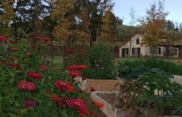 Podere la Campagnola - Foto 30