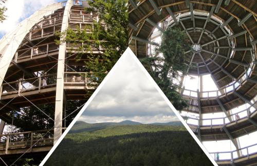 Ferienwohnung 32 im Ferienland Sonnenwald - Bayerischer Wald - Foto 22