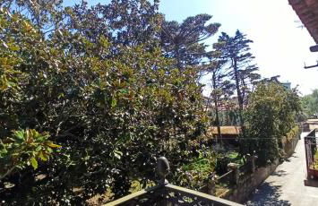 El parque 17 - Foto 19