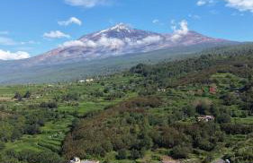 Apartamento de ensueño, vistas al bosque, Stevier - Foto 45